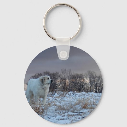 Porte-clés Les Pyrénées (Recto)