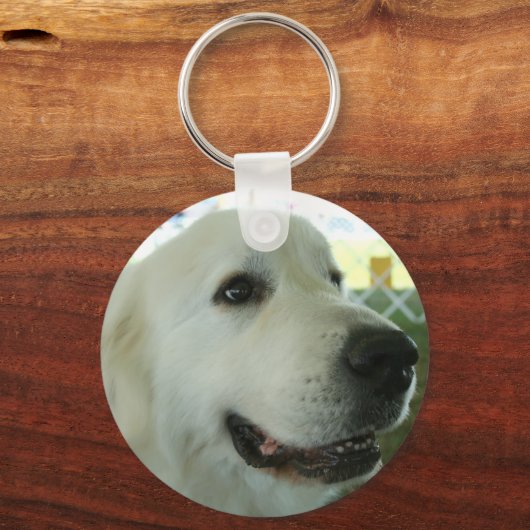 Porte-clés Les Pyrénées (Recto)