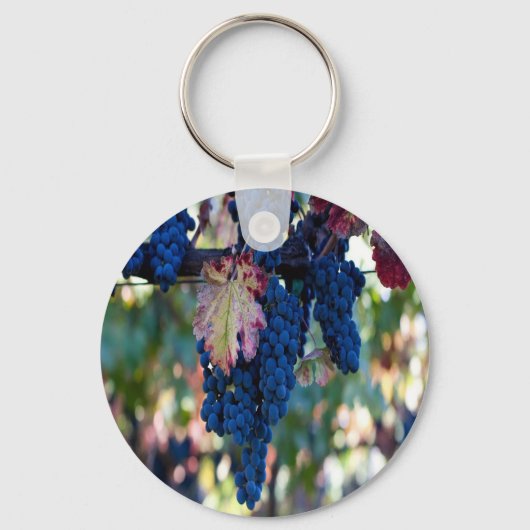 Porte-clés Les raisins sur une vigne (Recto)