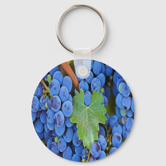 Porte-clés Les raisins sur une vigne (Recto)