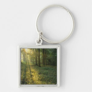Porte-clés Lever de soleil à travers la forêt de chênes et de
