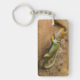 Porte-clés Lézard à collerette