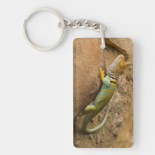 Porte-clés Lézard à collerette (Devant)