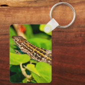 Porte-clés Lézard italien (Verso)