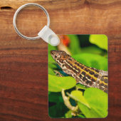 Porte-clés Lézard italien (Recto)