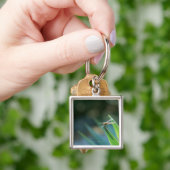 Porte-clés Libellule (main)