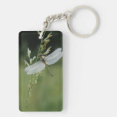 Porte-clés Libellule Darner couverte de rosée (Dos)