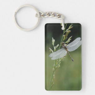 Porte-clés Libellule Darner couverte de rosée