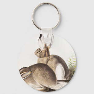Porte-clés Lièvre des Rocheuses de Townsend (Lepus Townsendii