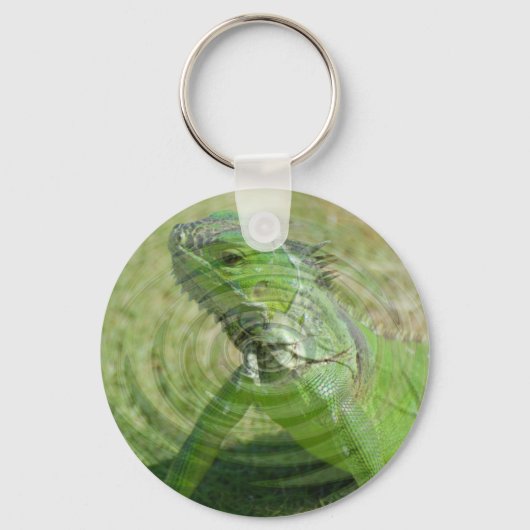 Porte-clés L'iguane vert (Recto)