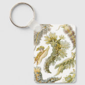 Porte-clés Limaces de mer par Ernst Haeckel, Nudibranches vin (Recto)