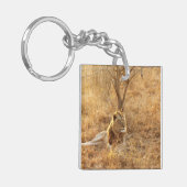 Porte-clés Lion (Devant gauche)