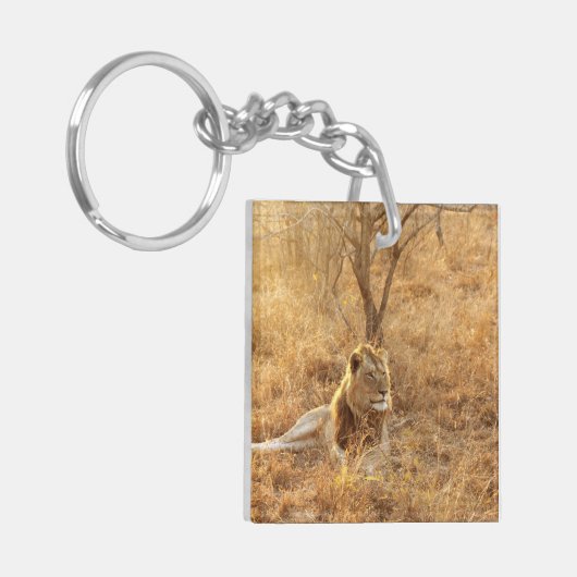 Porte-clés Lion (Devant gauche)