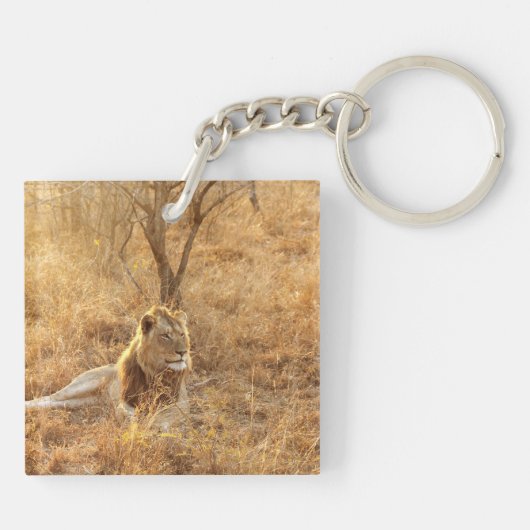 Porte-clés Lion (Dos)