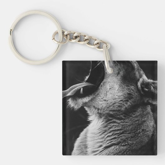 Porte-clés lion (Devant)