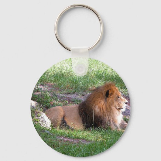 Porte-clés lion (Recto)