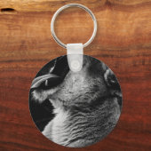 Porte-clés lion (Recto)