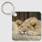 Porte-clés Lion 040 (Recto)