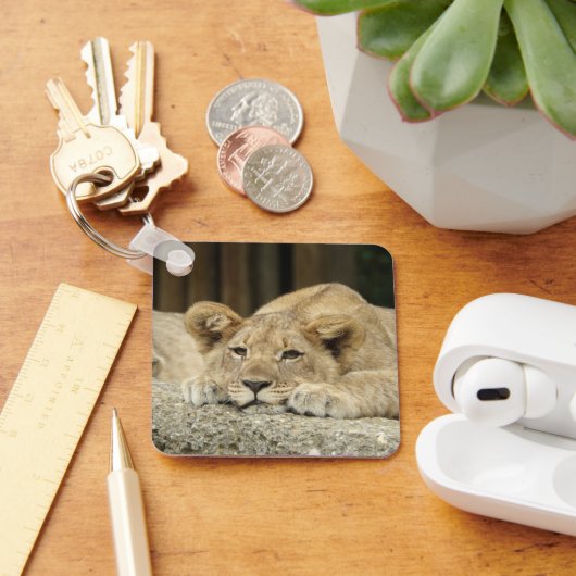 Porte-clés Lion 040 (Bureau)