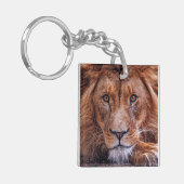 Porte-clés Lion africain (Devant gauche)