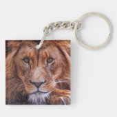 Porte-clés Lion africain (Dos)