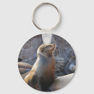 Porte-clés Lion de mer