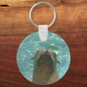 Porte-clés Lion de mer (Recto)