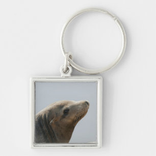 Porte-clés Lion de mer