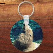 Porte-clés Lion de mer bronzant (Recto)