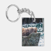 Porte-clés Lion De Mer Dans La Baie De Résurrection, Alaska (Devant gauche)