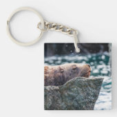 Porte-clés Lion De Mer Dans La Baie De Résurrection, Alaska (Devant)