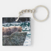Porte-clés Lion De Mer Dans La Baie De Résurrection, Alaska (Dos)