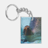 Porte-clés Lion de mer de Californie (Devant gauche)