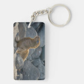 Porte-clés Lion de mer des Galapagos (Dos)