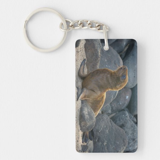 Porte-clés Lion de mer des Galapagos (Devant)