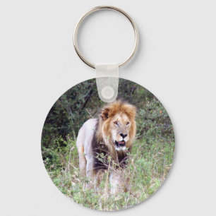 Porte-clés lion en maraude