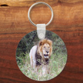 Porte-clés lion en maraude (Recto)