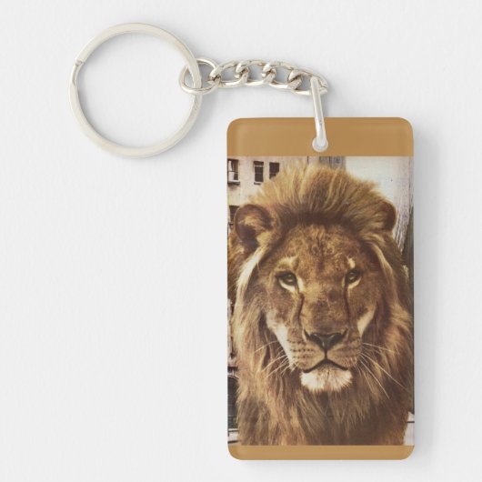 Porte-clés lion en ville (Devant)