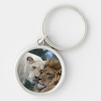 Lion et lionne