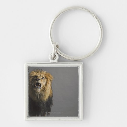 Porte-clés Lion hurlant (Devant)