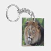 Porte-clés Lion Lounge dans une forêt (Devant gauche)