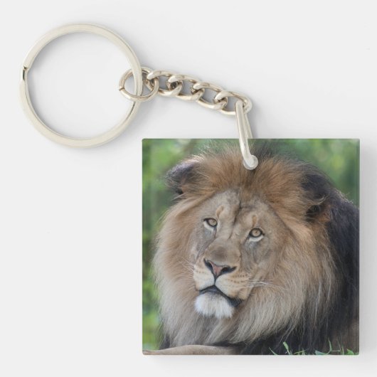 Porte-clés Lion Lounge dans une forêt (Devant)
