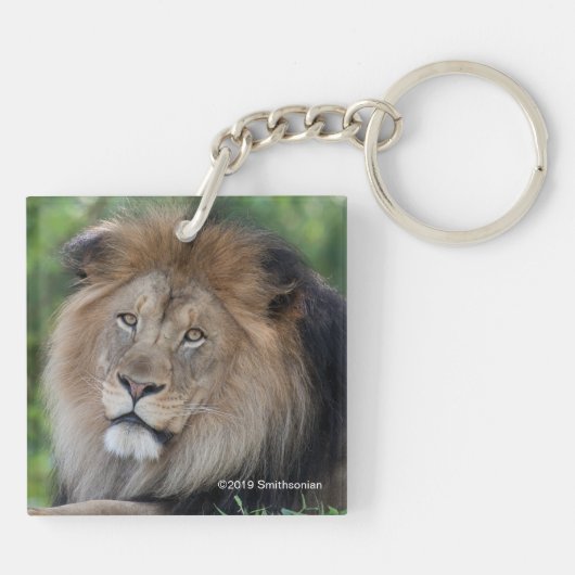 Porte-clés Lion Lounge dans une forêt (Dos)