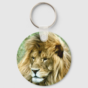 Porte-clés Lion masculin africain