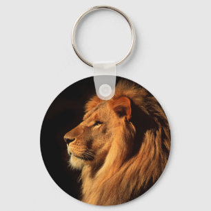 Porte-clés Lion masculin africain photographié par Steven