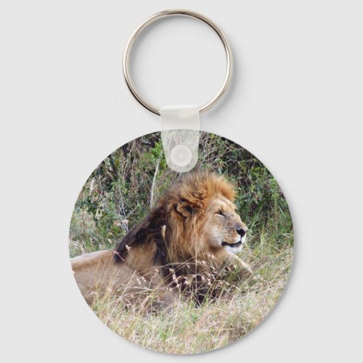 Porte-clés lion paresseux (Recto)