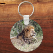 Porte-clés lion paresseux (Recto)