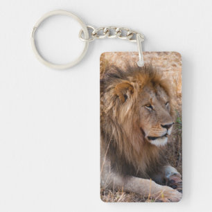 Porte-clés Lion réserve nationale du Maasai Mara, Kenya