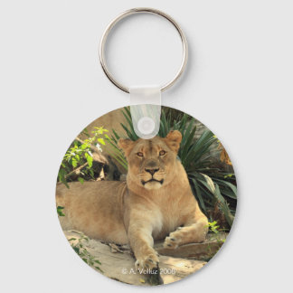 Porte-clés Lioness Keychain