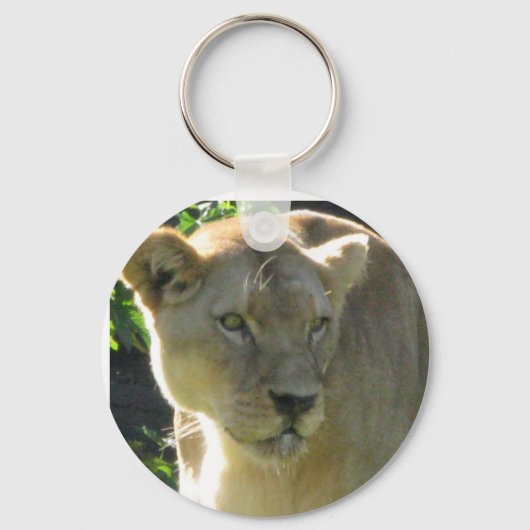 Porte-clés Lioness porte - clé (Recto)